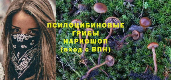ECSTASY Абаза