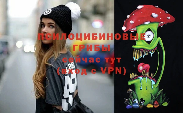 spice Абинск