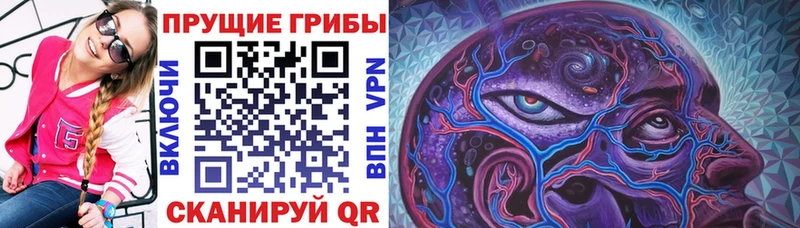 Галлюциногенные грибы GOLDEN TEACHER наркотики Заволжье